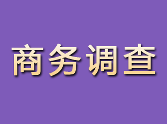 嘉黎商务调查